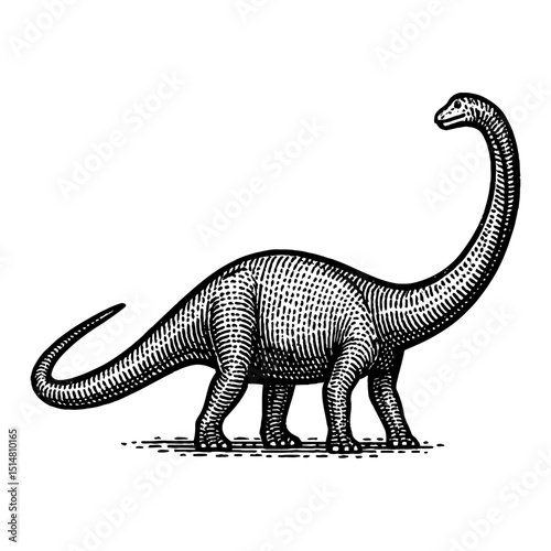 Black And White Engraved Illustration Of A Long Neck Dinosaur On White Background