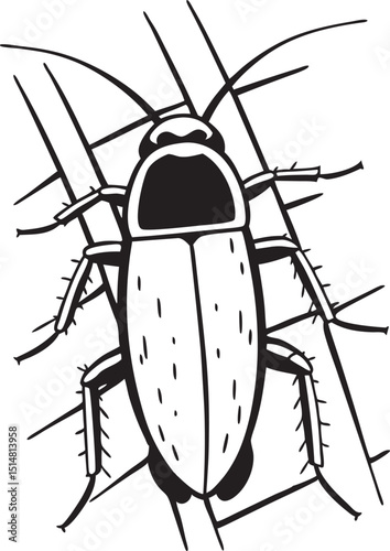 cockroach insect,vector.