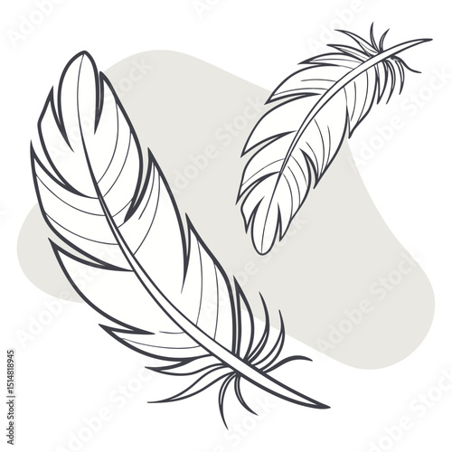 Vintage vector illustration of a feather set, perfect for art, design, or decorative nature-inspired patterns