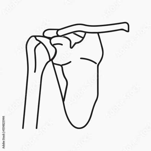 shoulder bone color icon vector