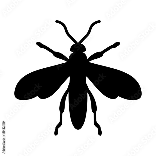 A striking silhouette of an insect, showing a wasp in striking detail