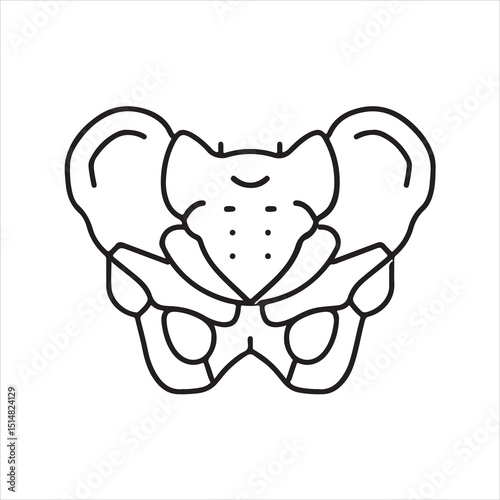 pelvis bone color icon vector