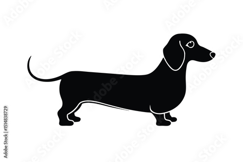 cartoon type beautiful dog silhouette vector with wearing sunglass
