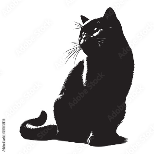 Realistic Cat Silhouette - The Charm of Everyday Feline Life  , black colour vactor 