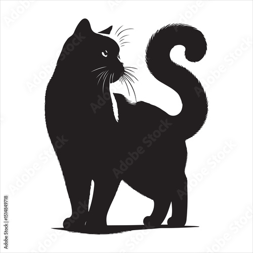 Realistic Cat Silhouette - The Charm of Everyday Feline Life  , black colour vactor 