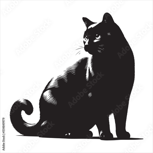 Realistic Cat Silhouette - The Charm of Everyday Feline Life  , black colour vactor 
