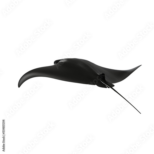 Majestic Manta Ray: Underwater Elegance, Ocean Wildlife, Marine Life Photography