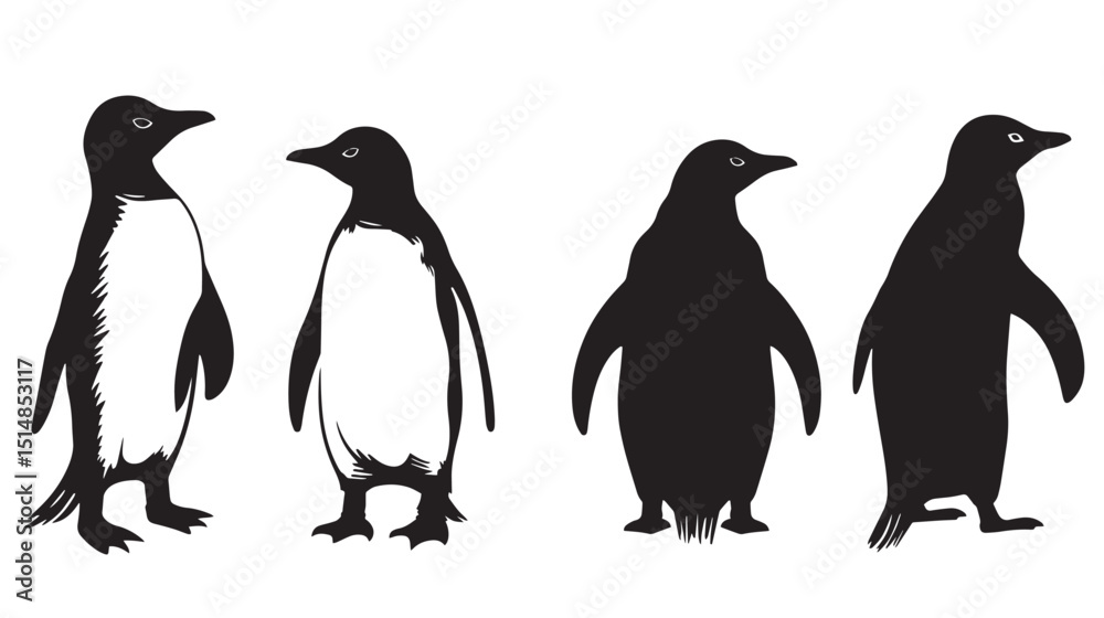 Naklejka premium Penguins silhouette isolated in White background