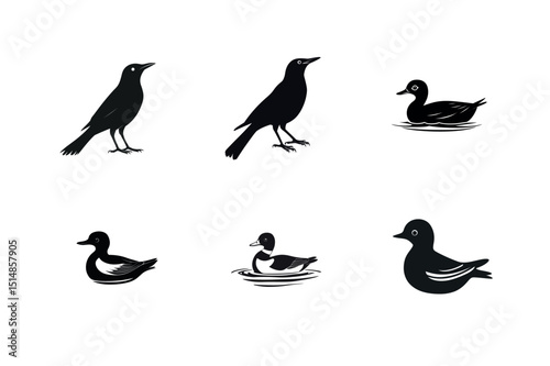 Silhouette collection of birds ducks and crows