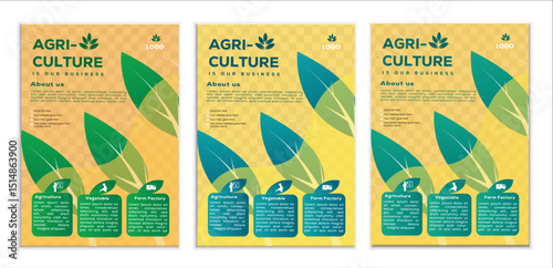  a bundle of 3 templates agriculture flyer design, in blue color, and modern design,marketing,agricuiture proposal, promotion, advertise, publication and editable vector template designe