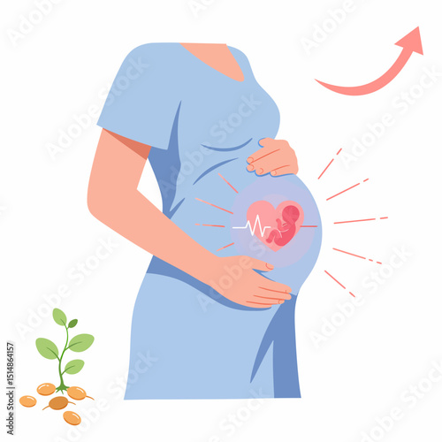 Pregnancy Growth Baby Development