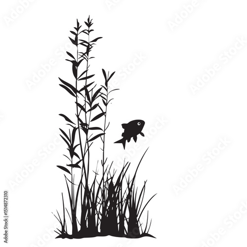 Platies silhouette isolated in White background
