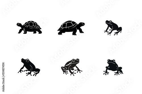Silhouette illustrations of frogs and turtles