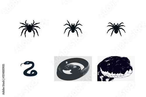 Spider and snake silhouettes and illustrations
