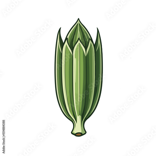 single okra pod with ribbed texture and pointed tip