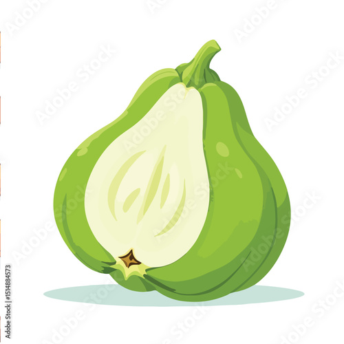Flat Green Chayote Squash Vector