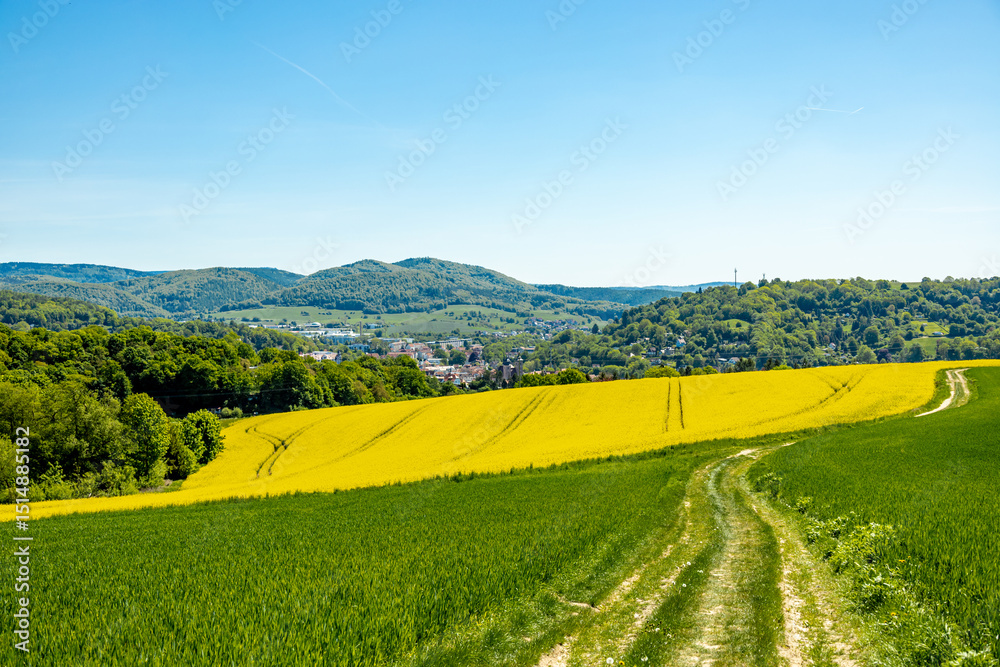 Fototapeta premium Frühsommerliche Wanderung rund um die Fachwerkstadt Schmalkalden am Südwesthang vom Thüringer Wald - Thüringen - Deutschland 