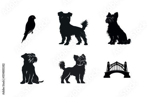 Silhouette set of griffon bruxellois dogs and a parrot