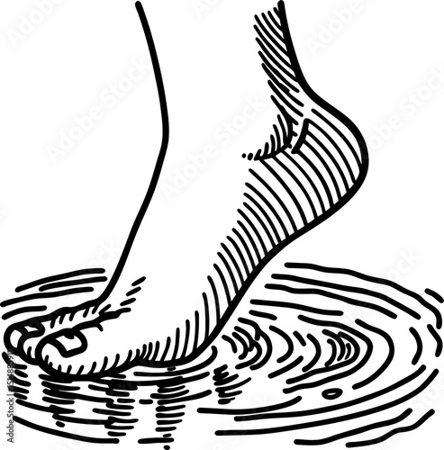 Bare foot stepping into water, line art illustration human toe, leg and rippled surface, hand drawn black and white sketch