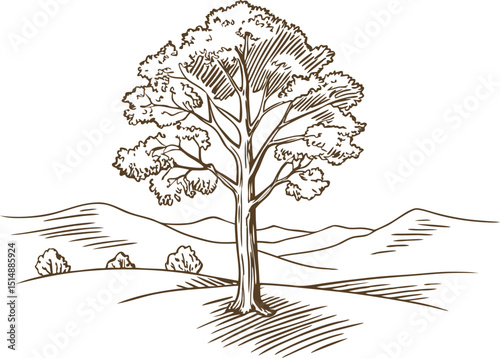 Majestic tree standing alone in a rural landscape with distant hills hand drawn vintage illustration, nature scenery