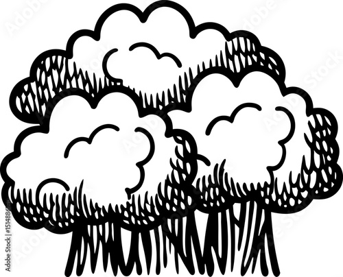 Dense forest thicket illustration black and white hand drawn trees with leafy canopies, natural woodland sketch
