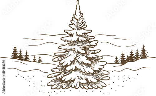 Snow covered evergreen tree in winter landscape scenic pine forest, hand drawn nature illustration, snowy season concept
