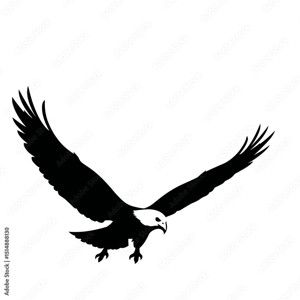 Fototapeta premium Black And White Eagle Silhouette Soaring In Flight