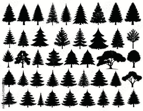 Collection Of Trees Silhouettes On White Background