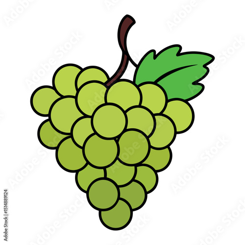 Grapes with Leaf – Vector Illustration on White Background
