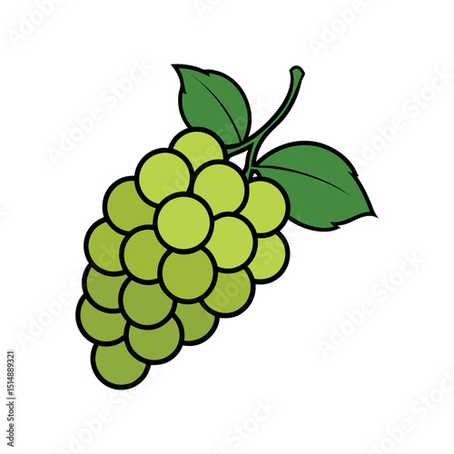 Grapes with Leaf – Vector Illustration on White Background