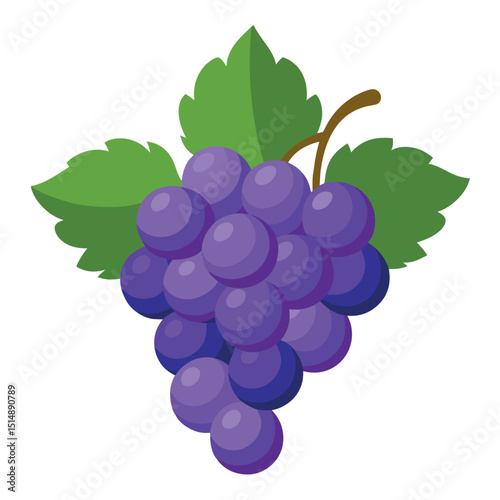 Grapes with Leaf – Vector Illustration on White Background
