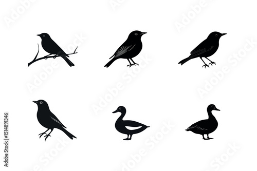 Six black silhouettes of birds and ducks