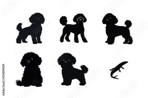 Poodle Dog and Lizard Silhouettes in Various Poses
