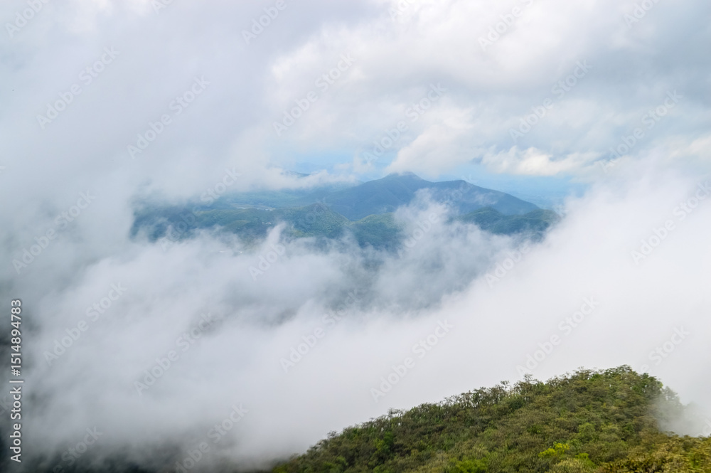 Obraz premium Mist in the valley during the Rain Season.Natural Rain Season landscape Northern Thailand.