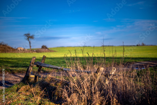 Stary płot na miedzy