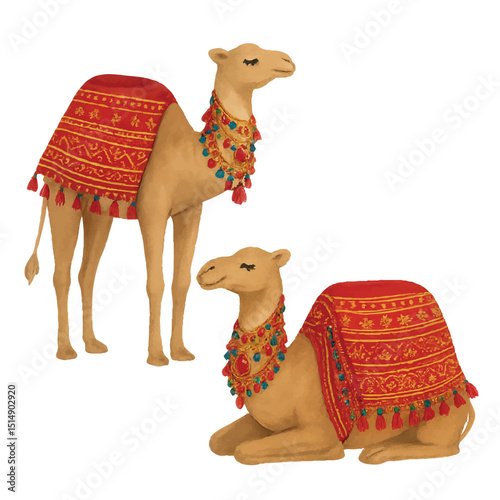 Watercolour Art of two Camels in Traditional Fabric and Jewels Sitting and Standing  on a Transparent PNG background