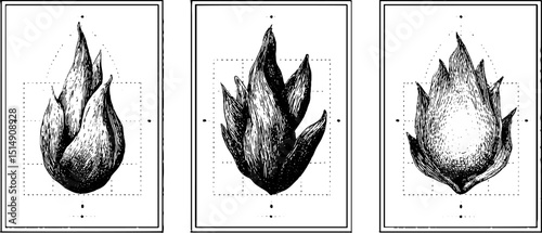 Engraved illustration set of abstract flames for art and design inspiration