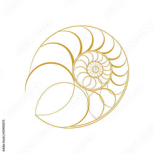 Elegant Nautilus Shell Spiral Depiction