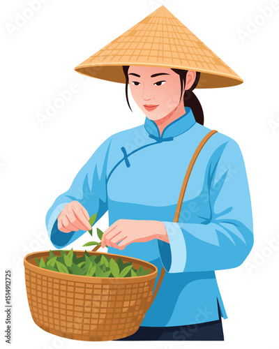 Asian Woman Picking Tea Leaves in Traditional Farming Attire for Harvest Season