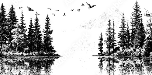 Serene engraved landscape of calm lake with reflecting trees and birds in flight
