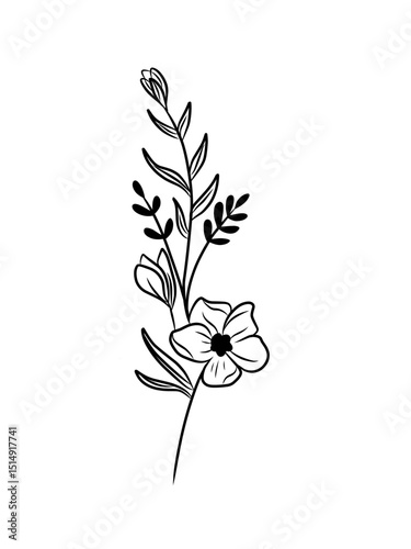Beautiful Black and White Flower