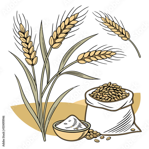 Wheat stalks grains flour and sack illustration