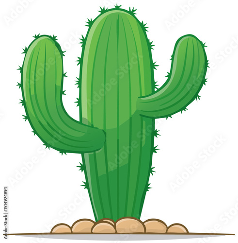 Spiky Green Cactus