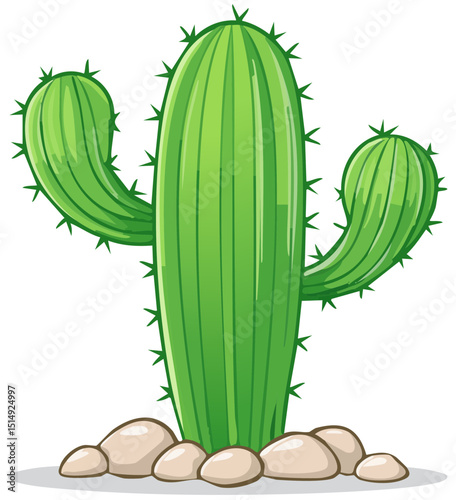 Desert Plant Illustration