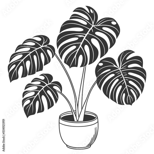 Monstera deliciosa plant in a pot line art illustration
