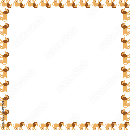African lion frame. Savannah lion. Wildlife animal on white background border with empty space