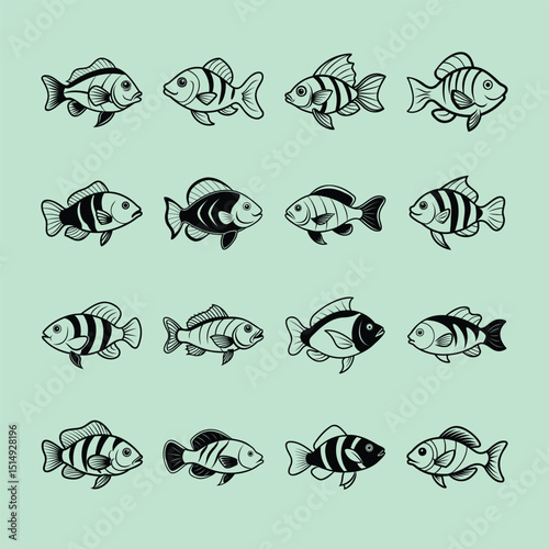 Oscar fish, aquarium fish line art illustration