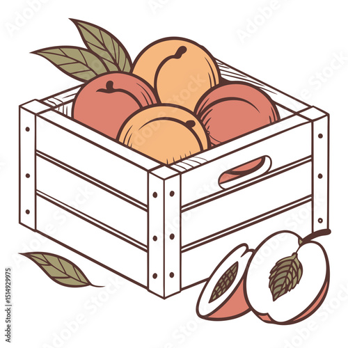 Fresh peaches in wooden crate illustration