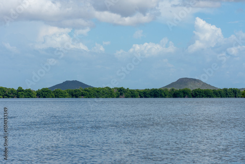 Mangrove swamp at National Park Laguna de la Restinga Lagoon in Venezuela, Margarita Island