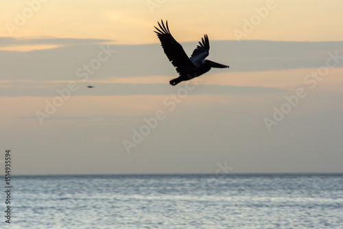 The sun sets over the horizon, casting golden hues across the sea in Juan Griego, Margarita Island, Venezuela